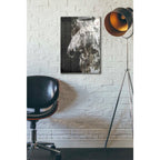 Epic Art 'SPIRIT EYE Horse' by Irena Orlov, Acrylic Glass Wall Art,16x24