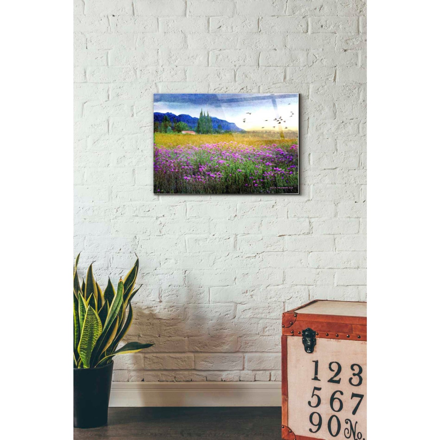 Epic Art 'Mesa Verde and Knapweed' by Chris Vest, Acrylic Glass Wall Art,16x24