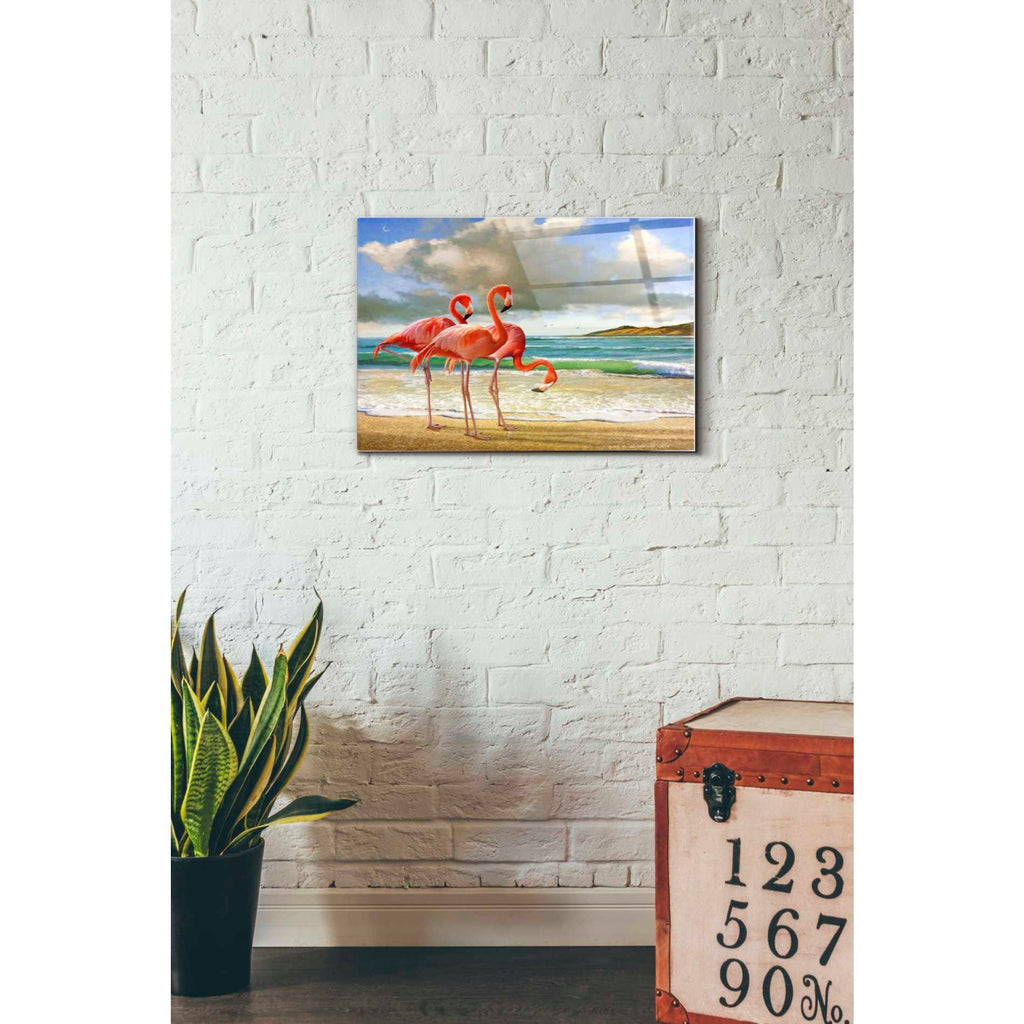 Epic Art 'Beach Scene Flamingos' by Chris Vest, Acrylic Glass Wall Art,16x24