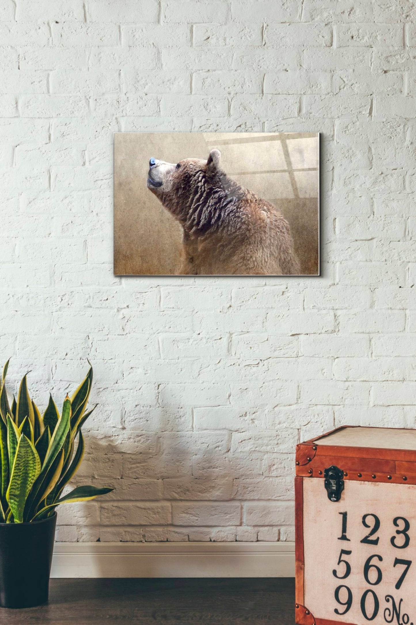 Epic Art 'Big Bear' by Karen Smith, Acrylic Glass Wall Art,16x24
