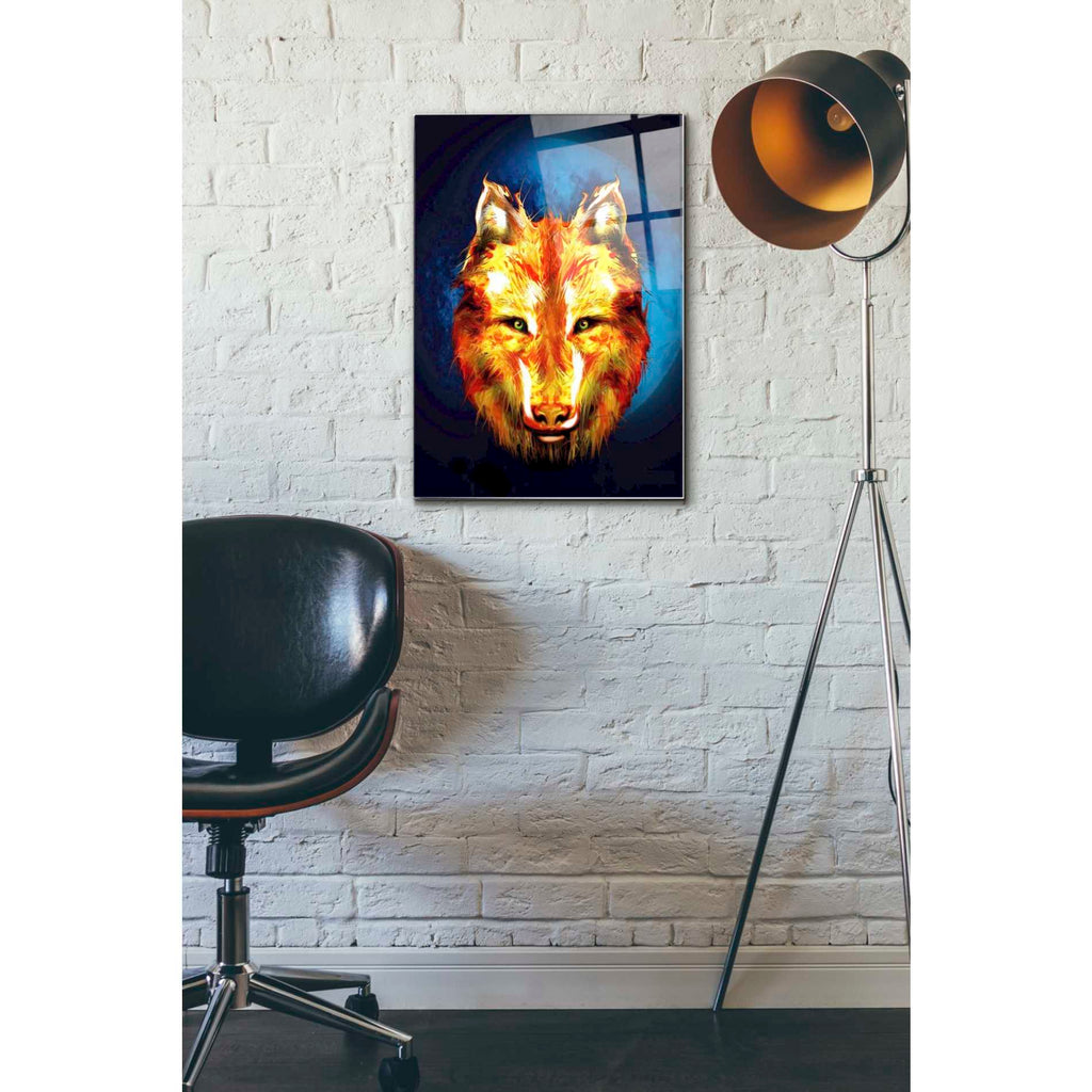 Epic Art 'Lone Wolf' by Michael Stewart, Acrylic Glass Wall Art,16x24