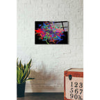 Epic Art 'Big Bang' Acrylic Glass Wall Art,16x24