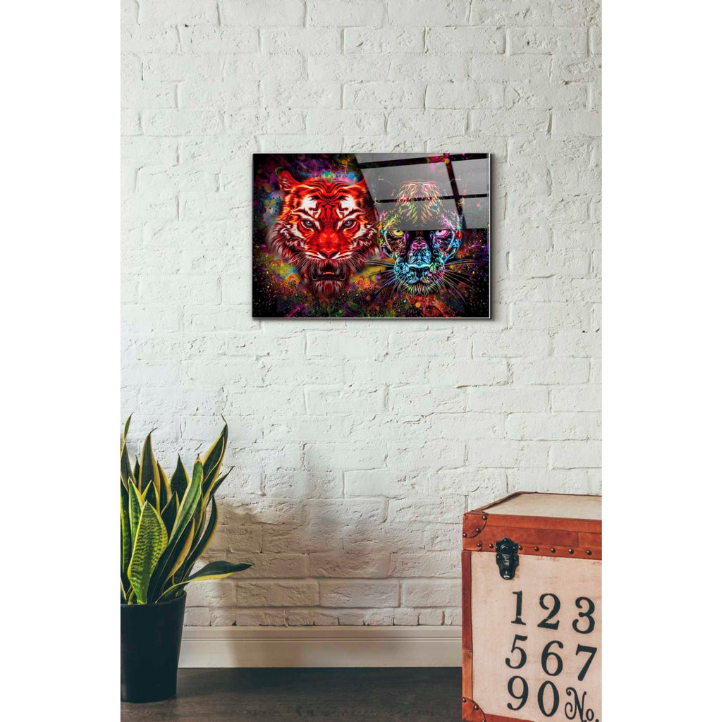 Epic Art 'Felis' Acrylic Glass Wall Art,16x24