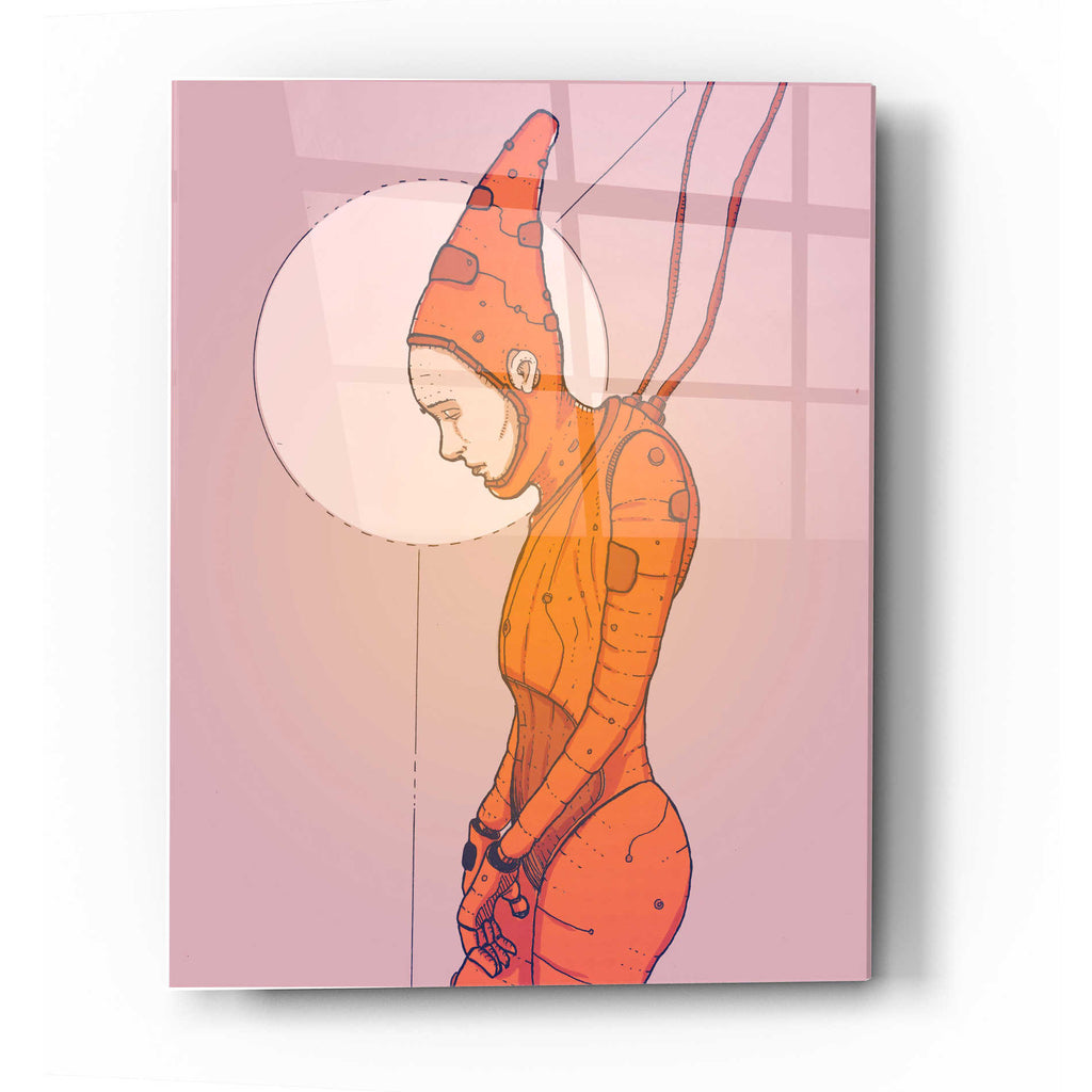 Epic Art 'Alpha Omega Orange' by Craig Snodgrass, Acrylic Glass Wall Art,16x24