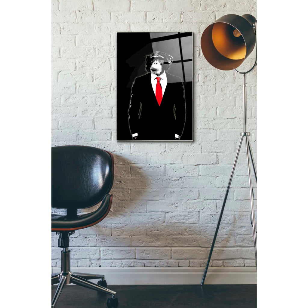 Epic Art 'Domesticated Monkey' by Nicklas Gustafsson, Acrylic Glass Wall Art,16x24