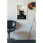 Epic Art 'Kitty Mugshot' by Nicklas Gustafsson, Acrylic Glass Wall Art,16x24