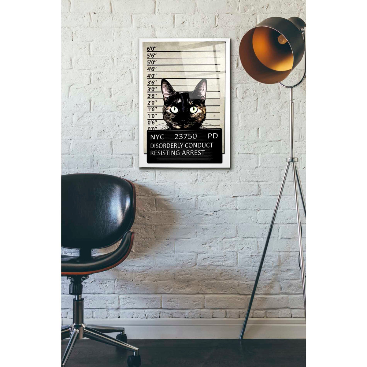 Epic Art 'Kitty Mugshot' by Nicklas Gustafsson, Acrylic Glass Wall Art,16x24