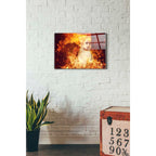 Epic Art 'Countdown' by Mario Sanchez Nevado, Acrylic Glass Wall Art,16x24