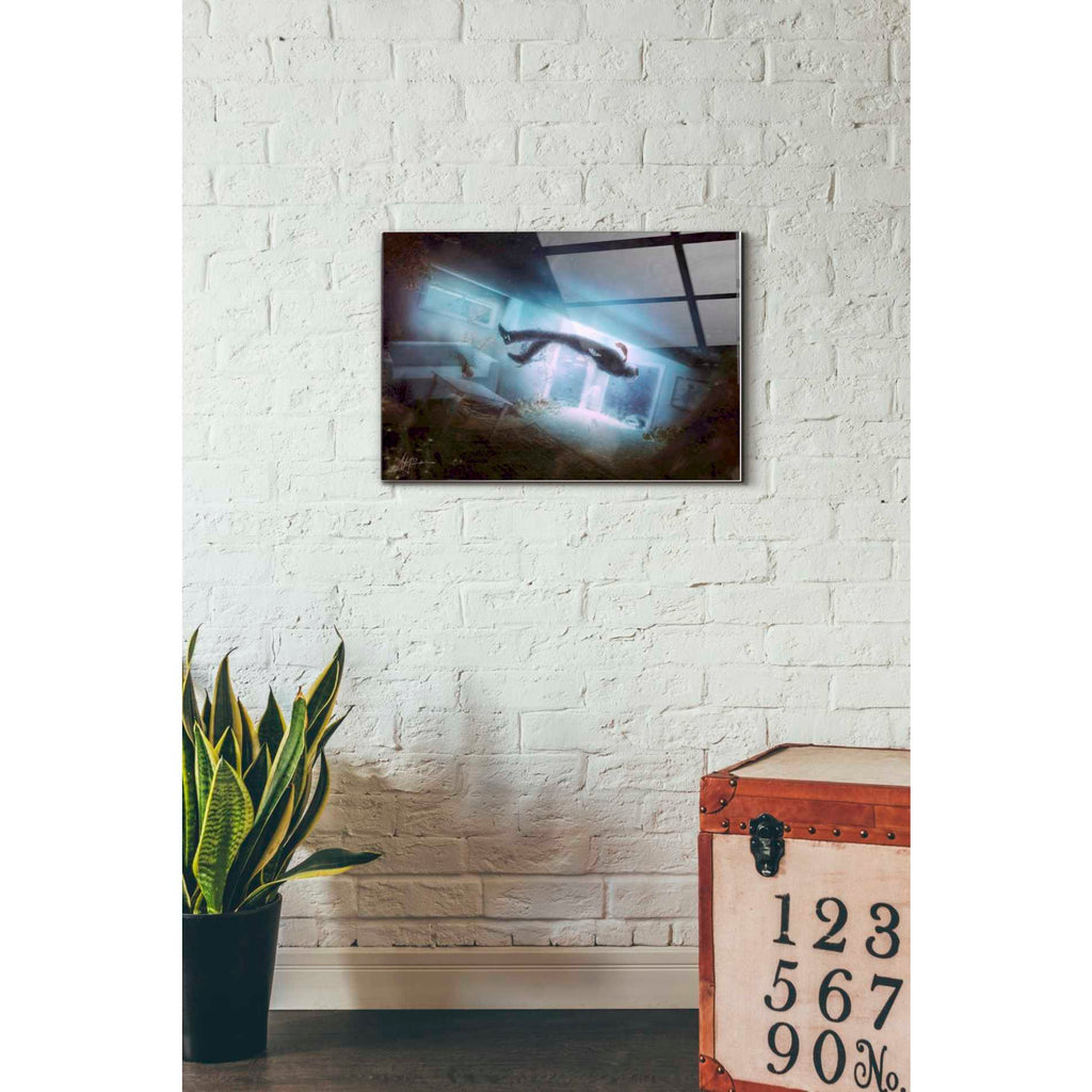 Epic Art 'Tears' by Mario Sanchez Nevado, Acrylic Glass Wall Art,16x24