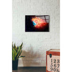 Epic Art 'Trance' by Mario Sanchez Nevado, Acrylic Glass Wall Art,16x24