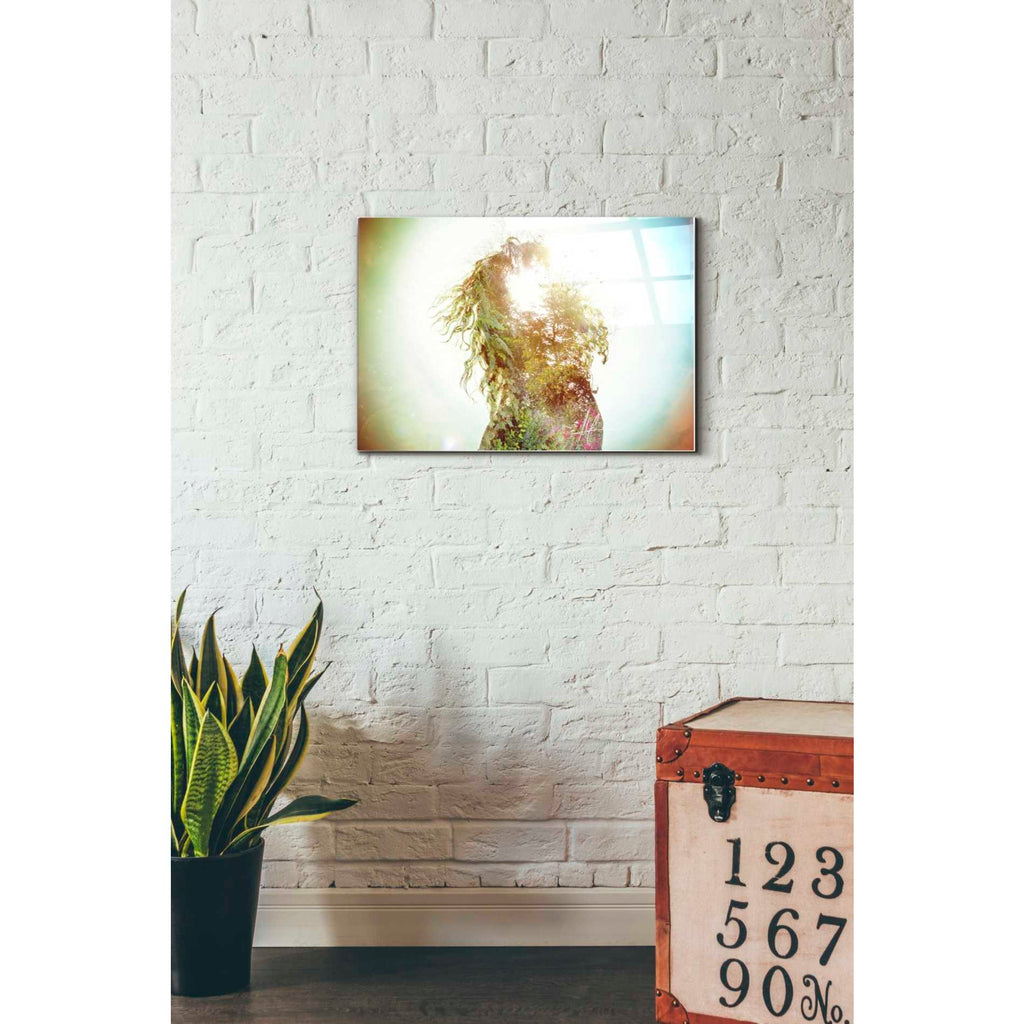 Epic Art 'Wisdom' by Mario Sanchez Nevado, Acrylic Glass Wall Art,16x24