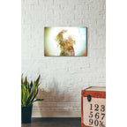 Epic Art 'Wisdom' by Mario Sanchez Nevado, Acrylic Glass Wall Art,16x24