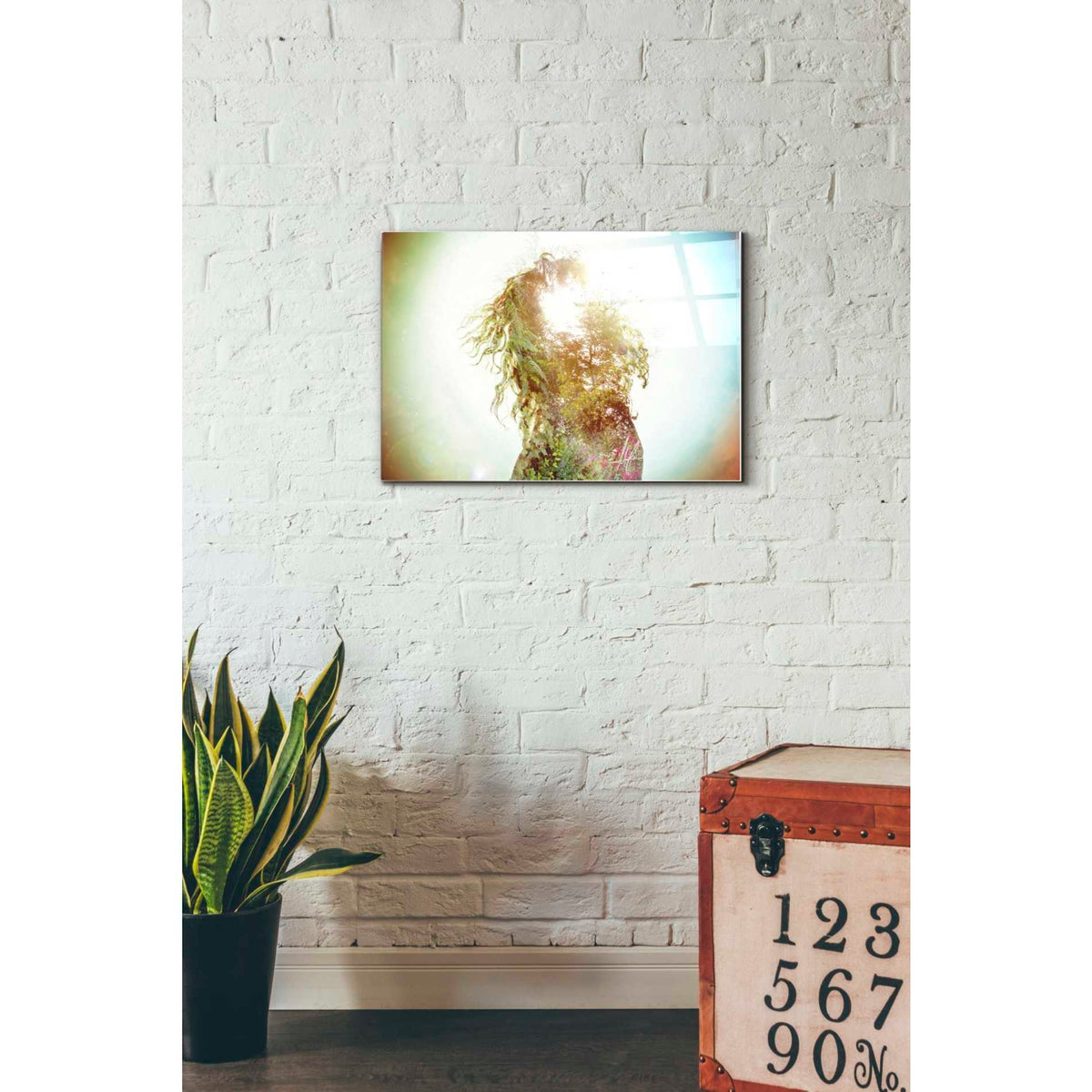 Epic Art 'Wisdom' by Mario Sanchez Nevado, Acrylic Glass Wall Art,16x24