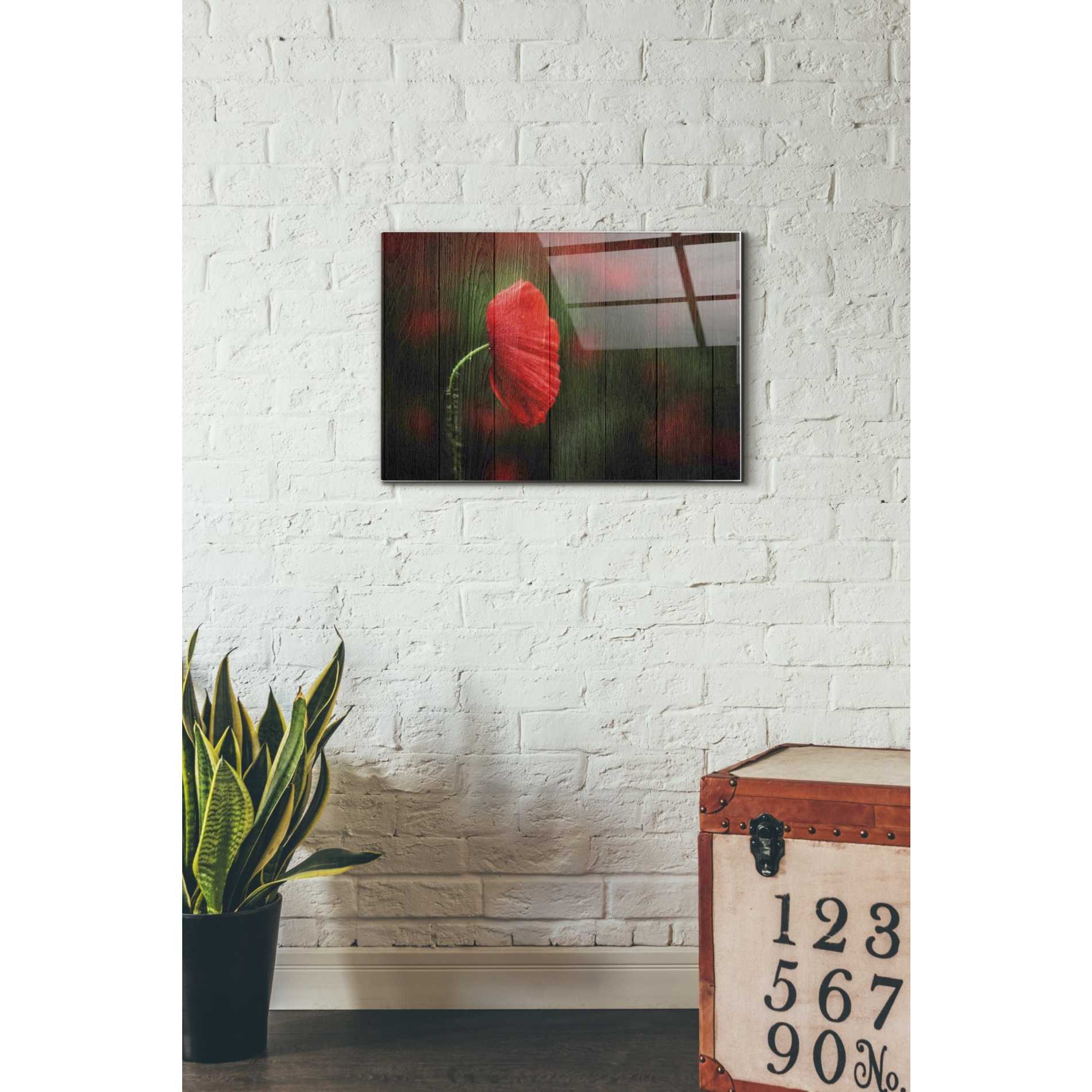 Epic Art "Wood Series: A Red Poppy" Acrylic Glass Wall Art,16x24