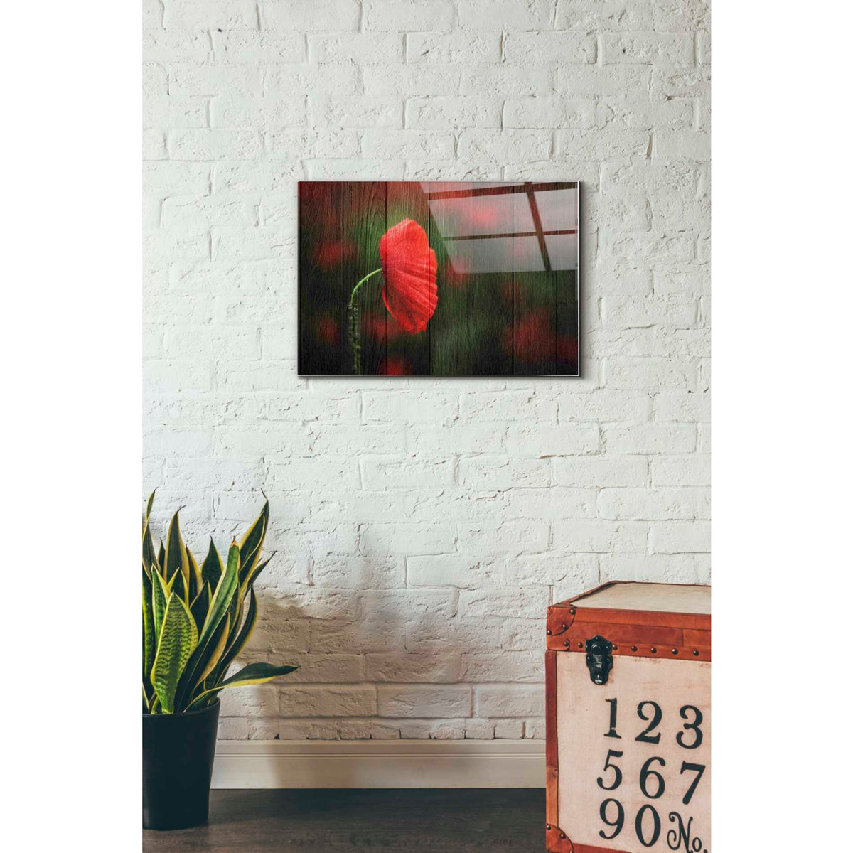 Epic Art "Wood Series: A Red Poppy" Acrylic Glass Wall Art,16x24
