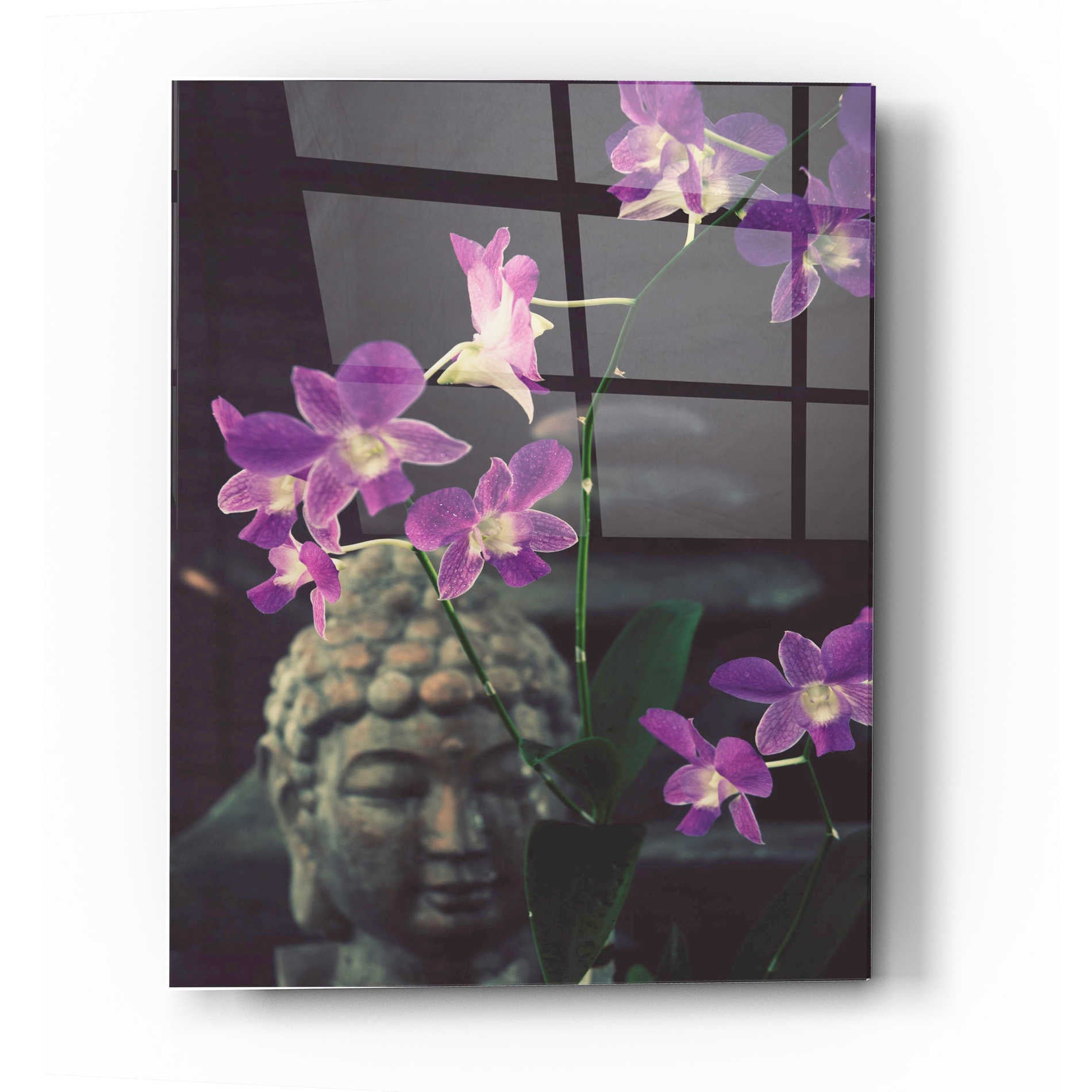 Epic Art 'Zen Purple Orchids' by Elena Ray Acrylic Glass Wall Art,16x24