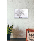 Epic Art "Another Winter Alone" by Darren White, Acrylic Glass Wall Art,16x24