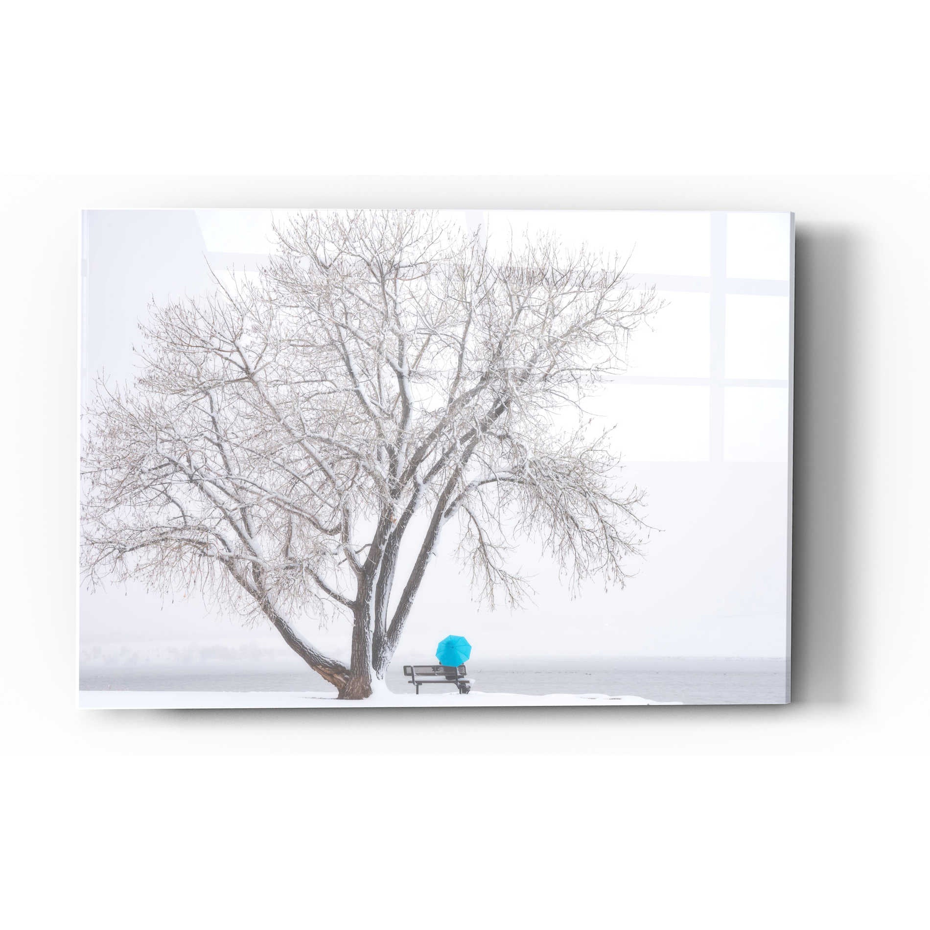 Epic Art "Another Winter Alone" by Darren White, Acrylic Glass Wall Art,16x24