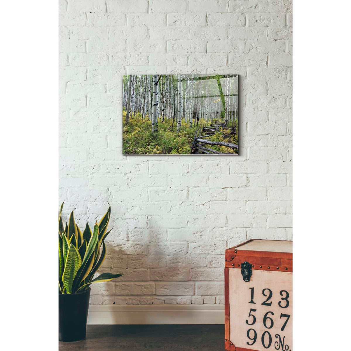 Epic Art 'Aspen Grove Rail Fence,' Acrylic Glass Wall Art,16x24