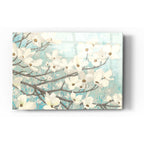 Epic Art 'Dogwood Blossoms II' by James Wiens, Acrylic Glass Wall Art,16x24