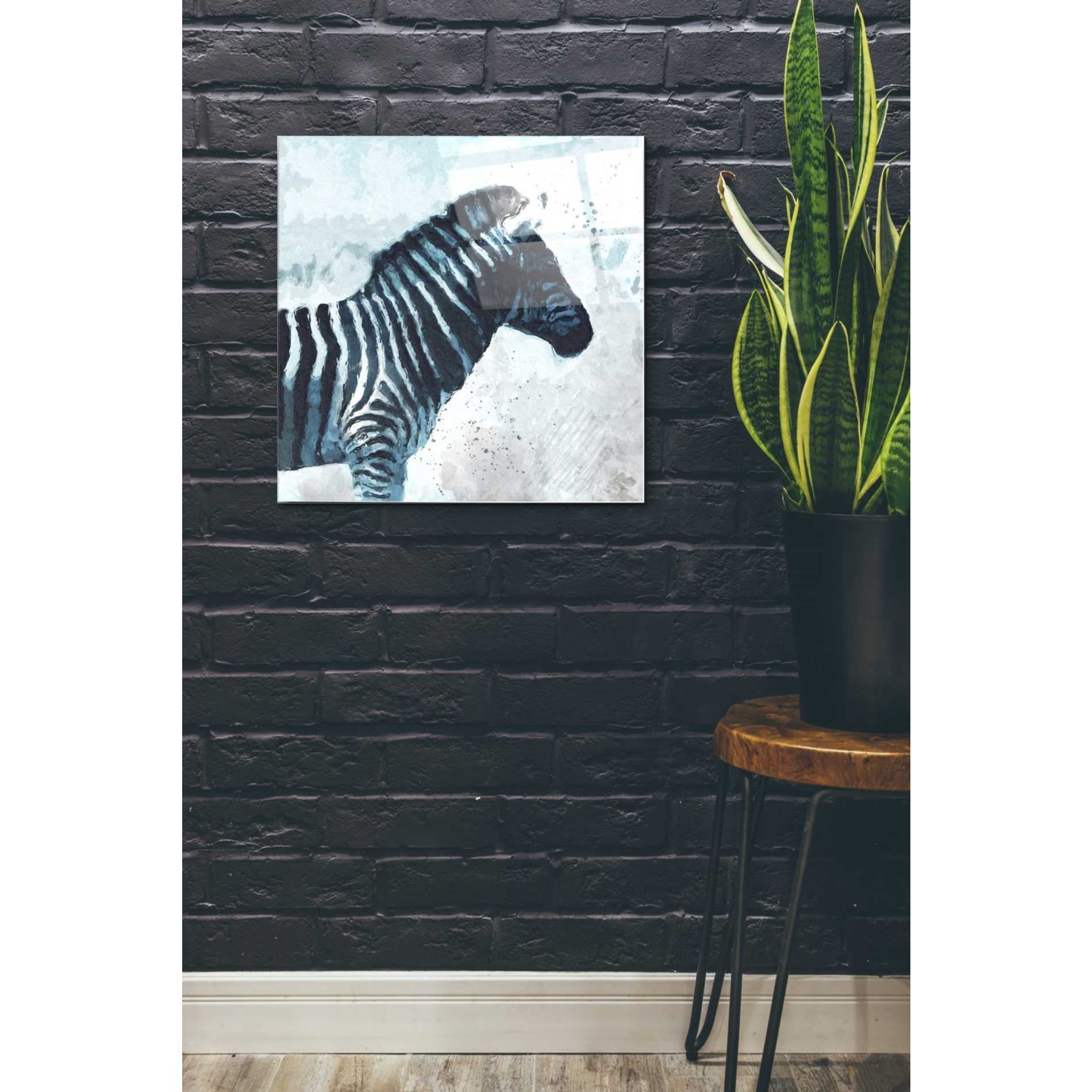 Epic Art 'Zebra' by Linda Woods, Acrylic Glass Wall Art,24x24