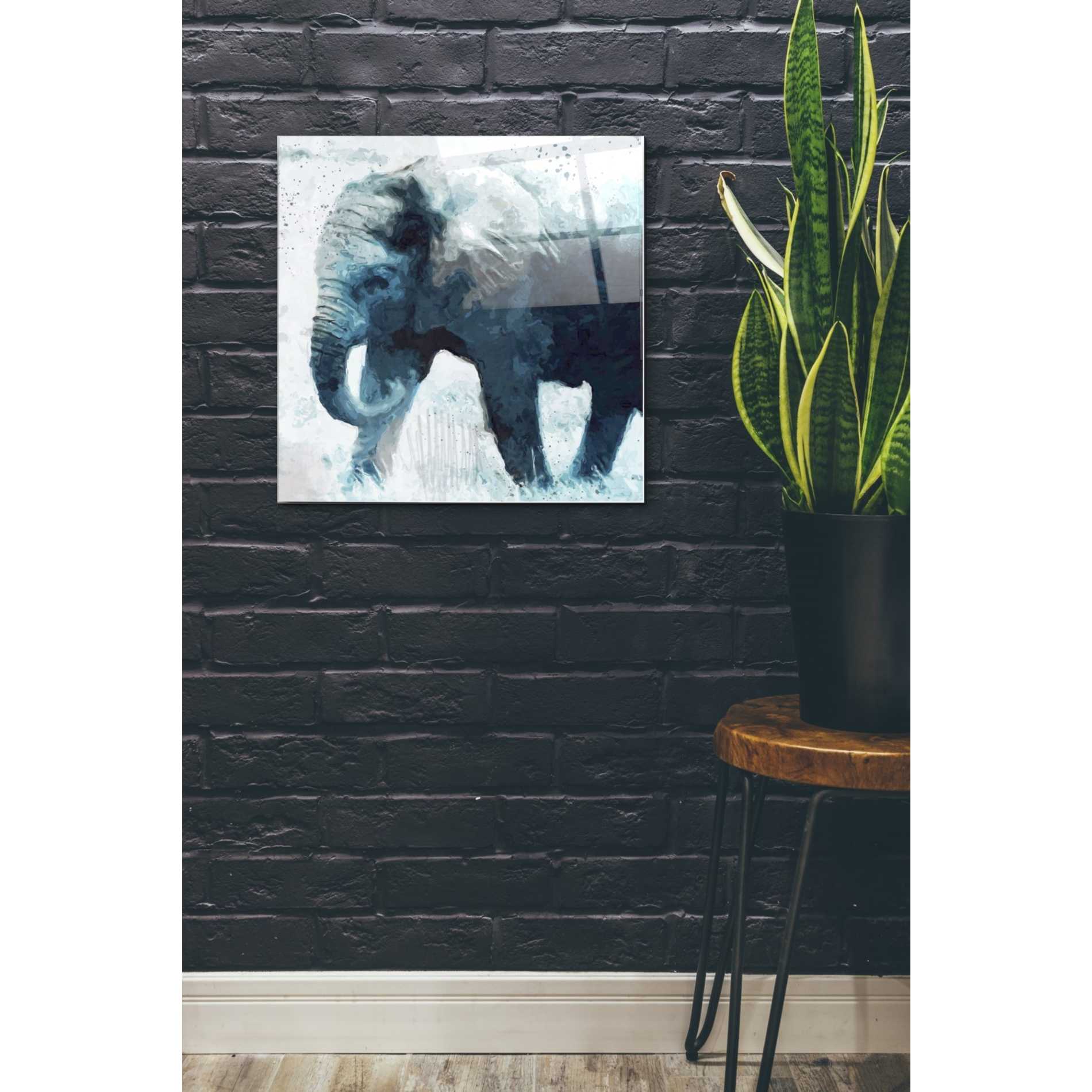 Epic Art 'Elephant' by Linda Woods, Acrylic Glass Wall Art,24x24