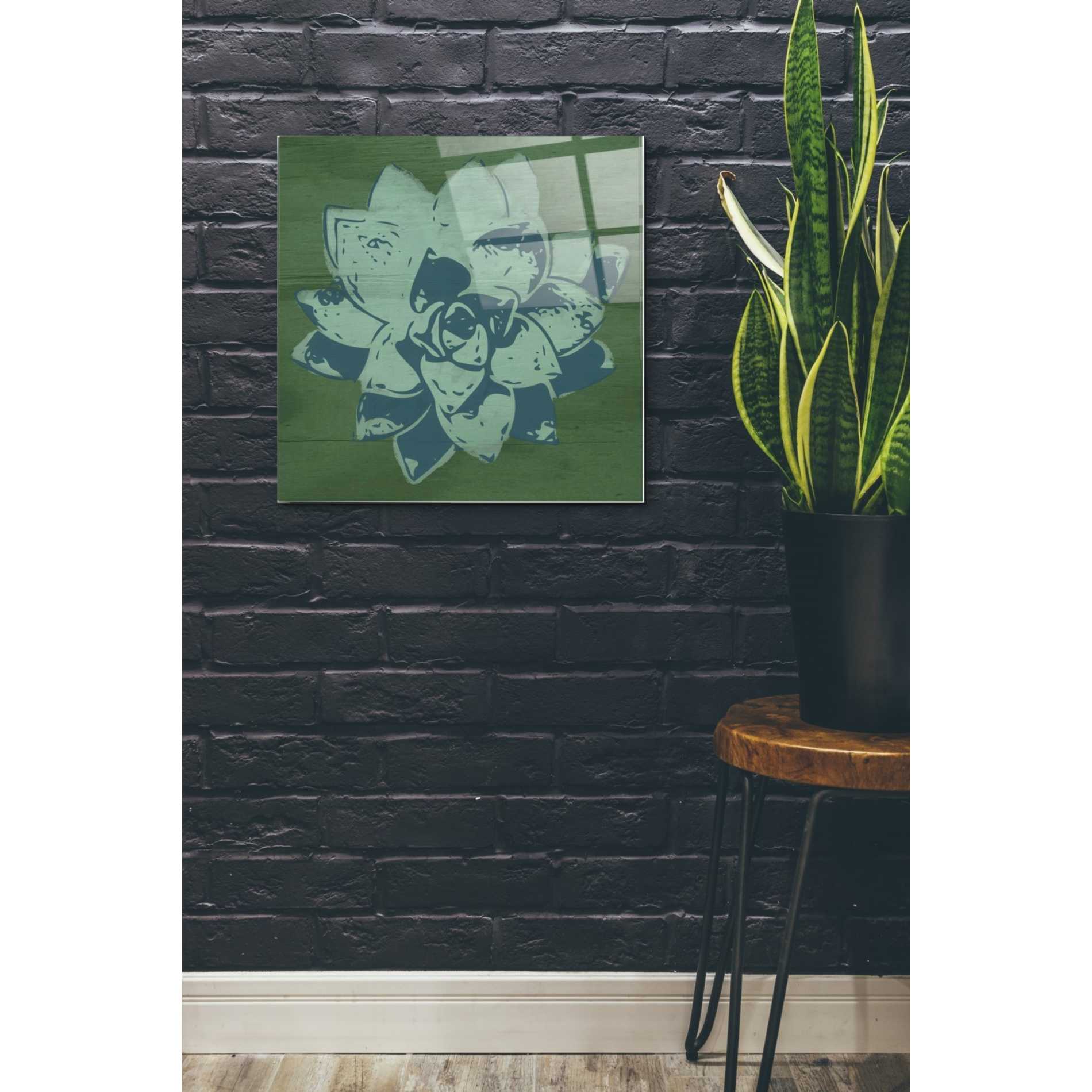 Epic Art 'Boho Succulent Green' by Linda Woods, Acrylic Glass Wall Art,24x24