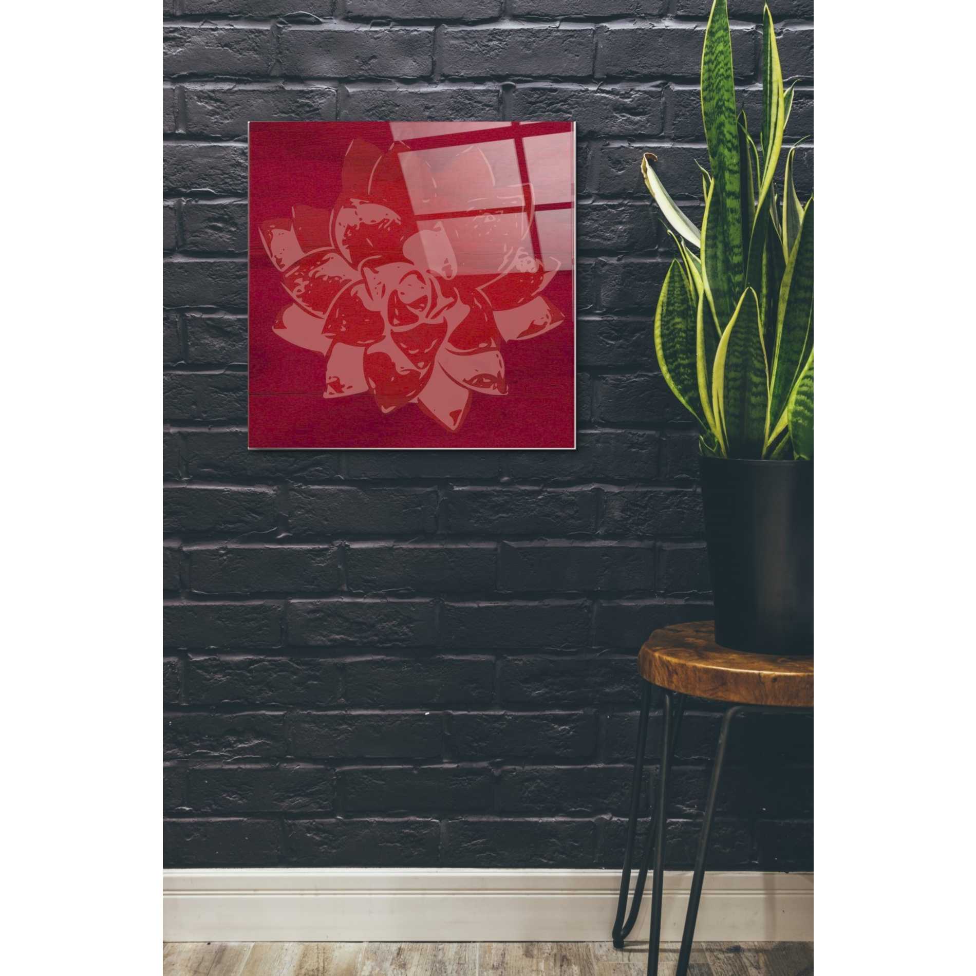Epic Art 'Boho Succulent Red' by Linda Woods, Acrylic Glass Wall Art,24x24
