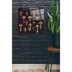 Epic Art 'Mushroom Chart I' by Wild Apple Portfolio, Acrylic Glass Wall Art,24x24