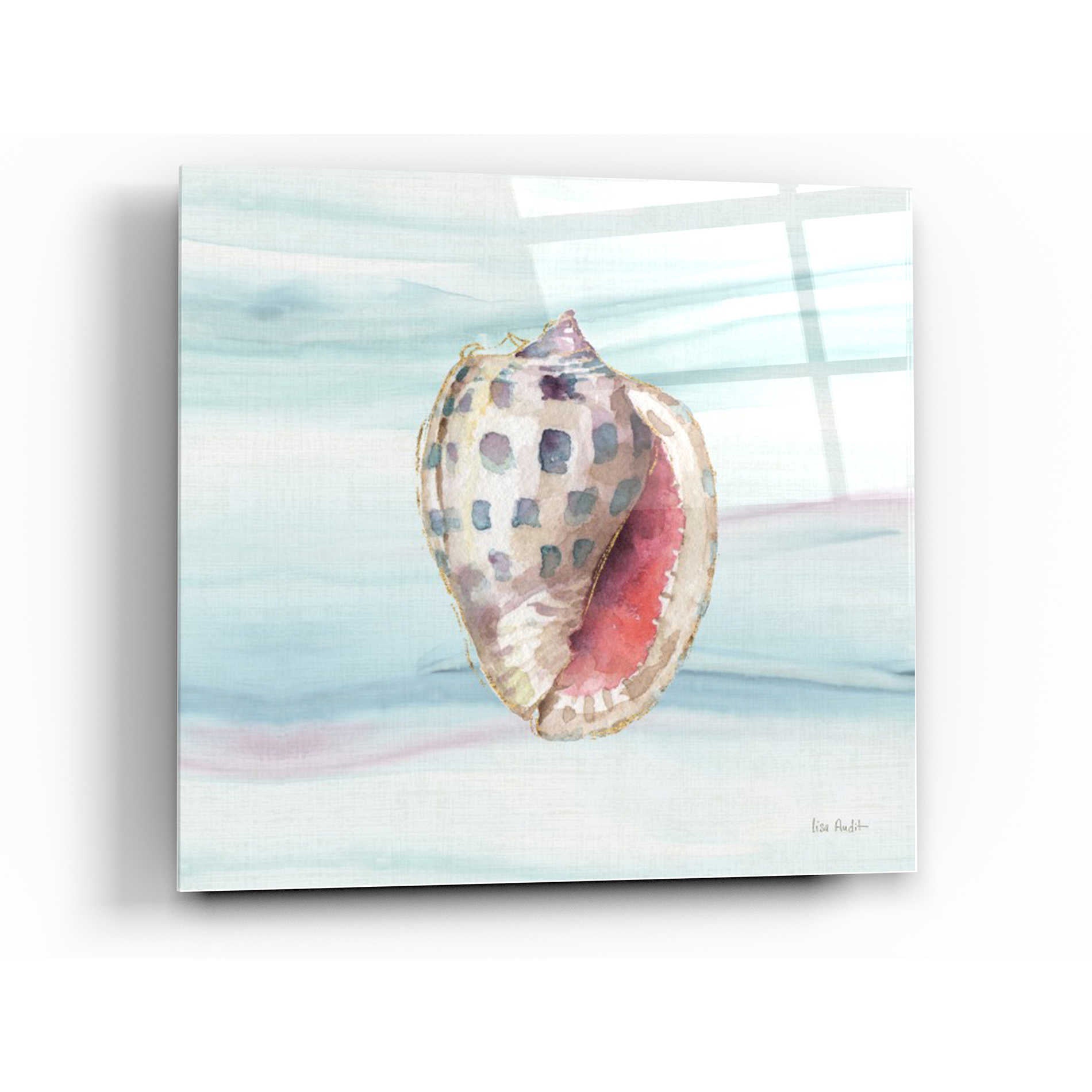 Epic Art 'Ocean Dream VII' by Lisa Audit, Acrylic Glass Wall Art,24x24