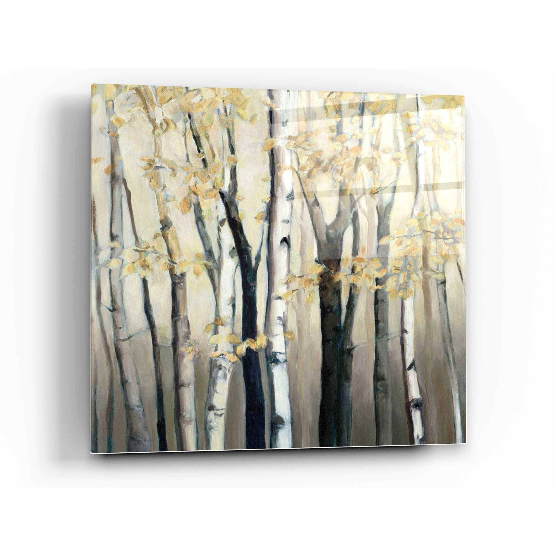 Epic Art 'Golden Birch I' by Marilyn Hageman, Acrylic Glass Wall Art,24x24