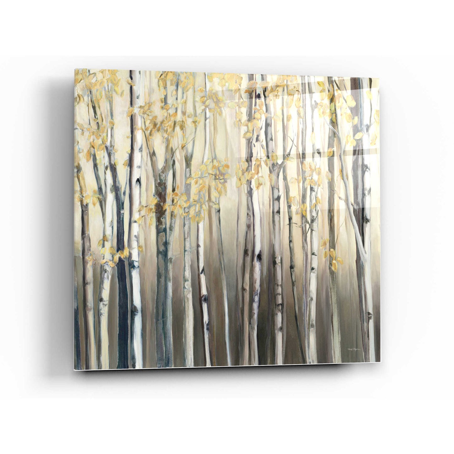Epic Art 'Golden Birch III Landscape' by Marilyn Hageman, Acrylic Glass Wall Art,24x24