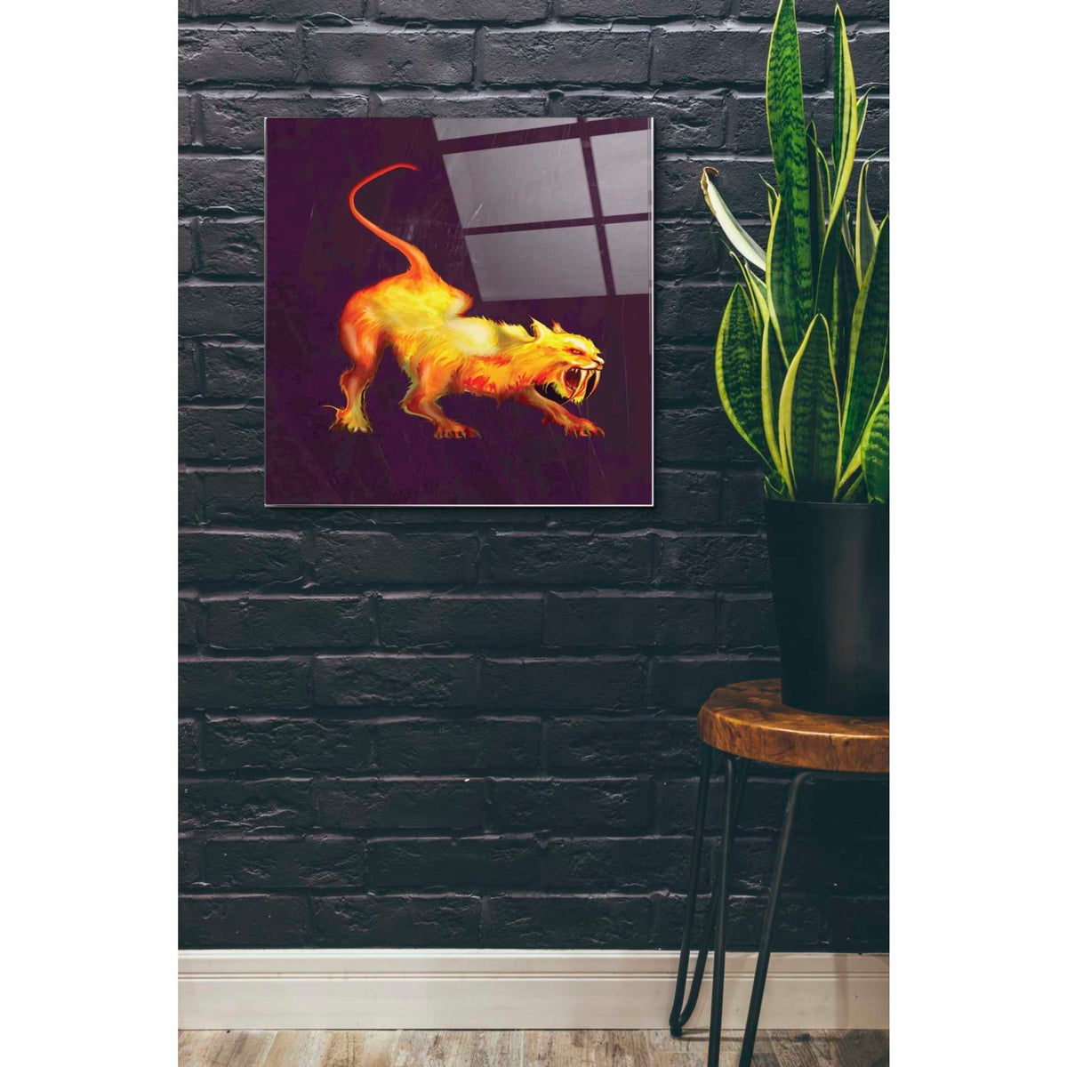 Epic Art 'Saber Tooth' by Michael Stewart, Acrylic Glass Wall Art,24x24