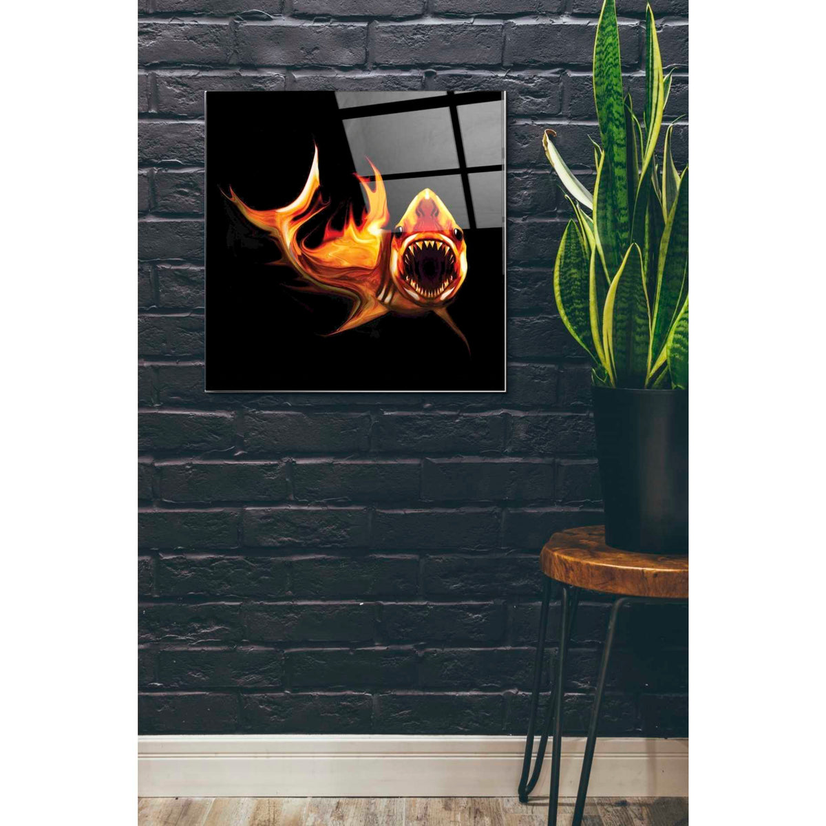 Epic Art 'White Shark' by Michael Stewart, Acrylic Glass Wall Art,24x24