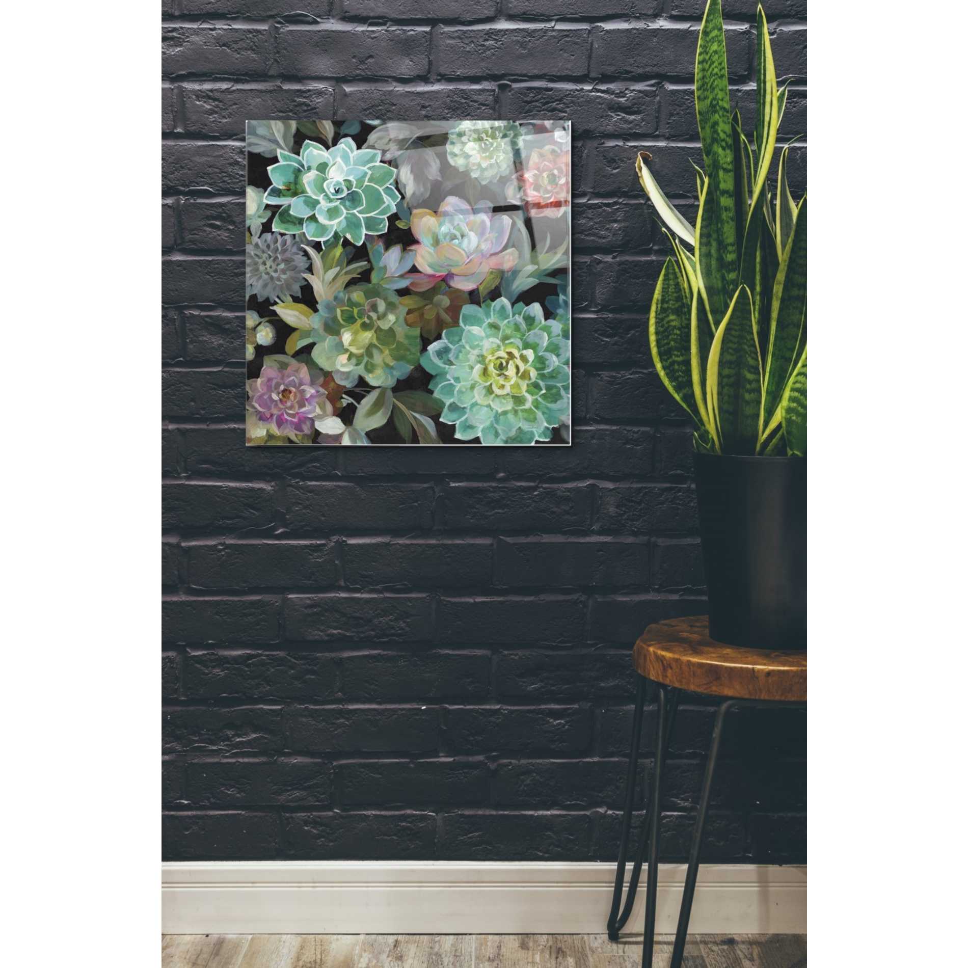 Epic Art 'Floral Succulents v2 Crop' by Danhui Nai, Acrylic Glass Wall Art,24x24