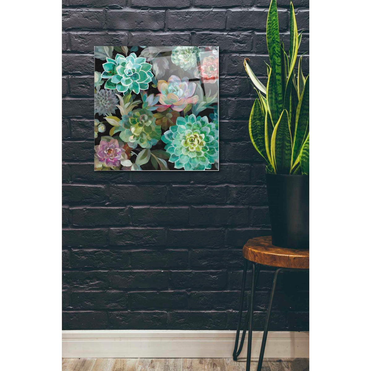 Epic Art 'Floral Succulents v2 Crop' by Danhui Nai, Acrylic Glass Wall Art,24x24