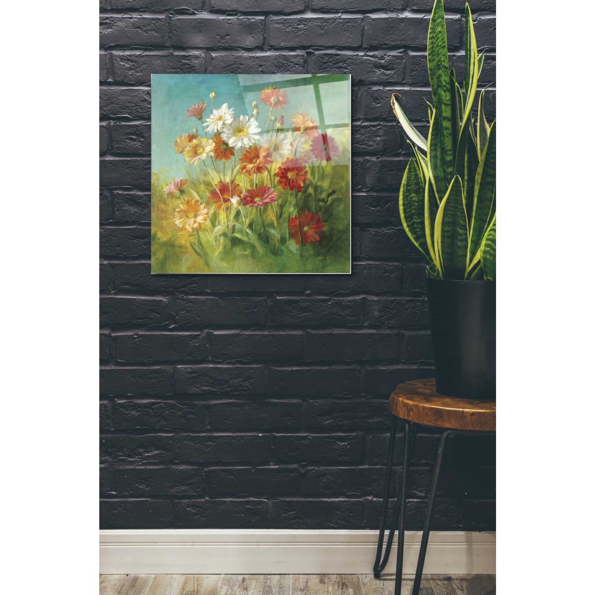 Epic Art 'Painted Daisies' by Danhui Nai, Acrylic Glass Wall Art,24x24