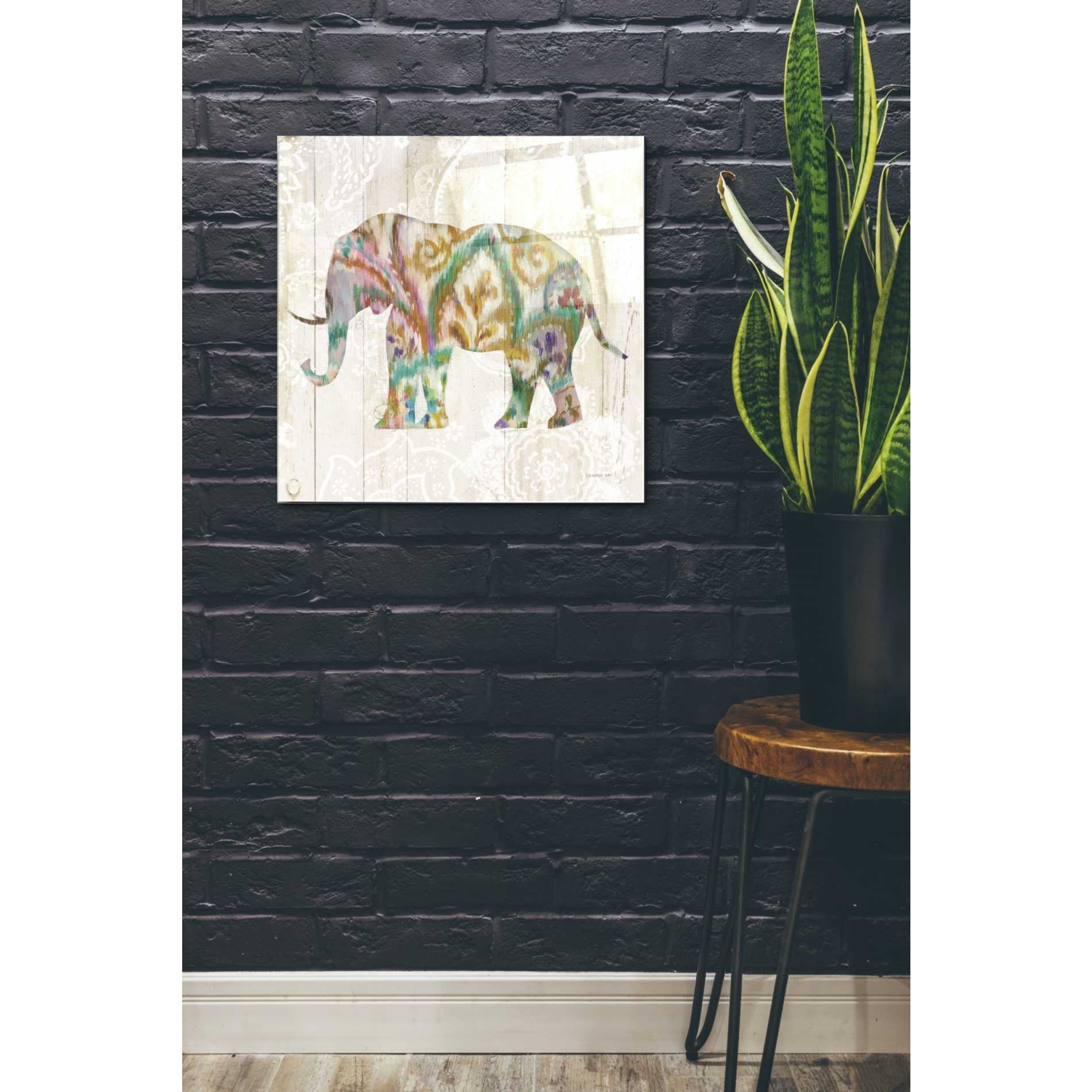 Epic Art 'Boho Paisley Elephant II v2' by Danhui Nai, Acrylic Glass Wall Art,24x24