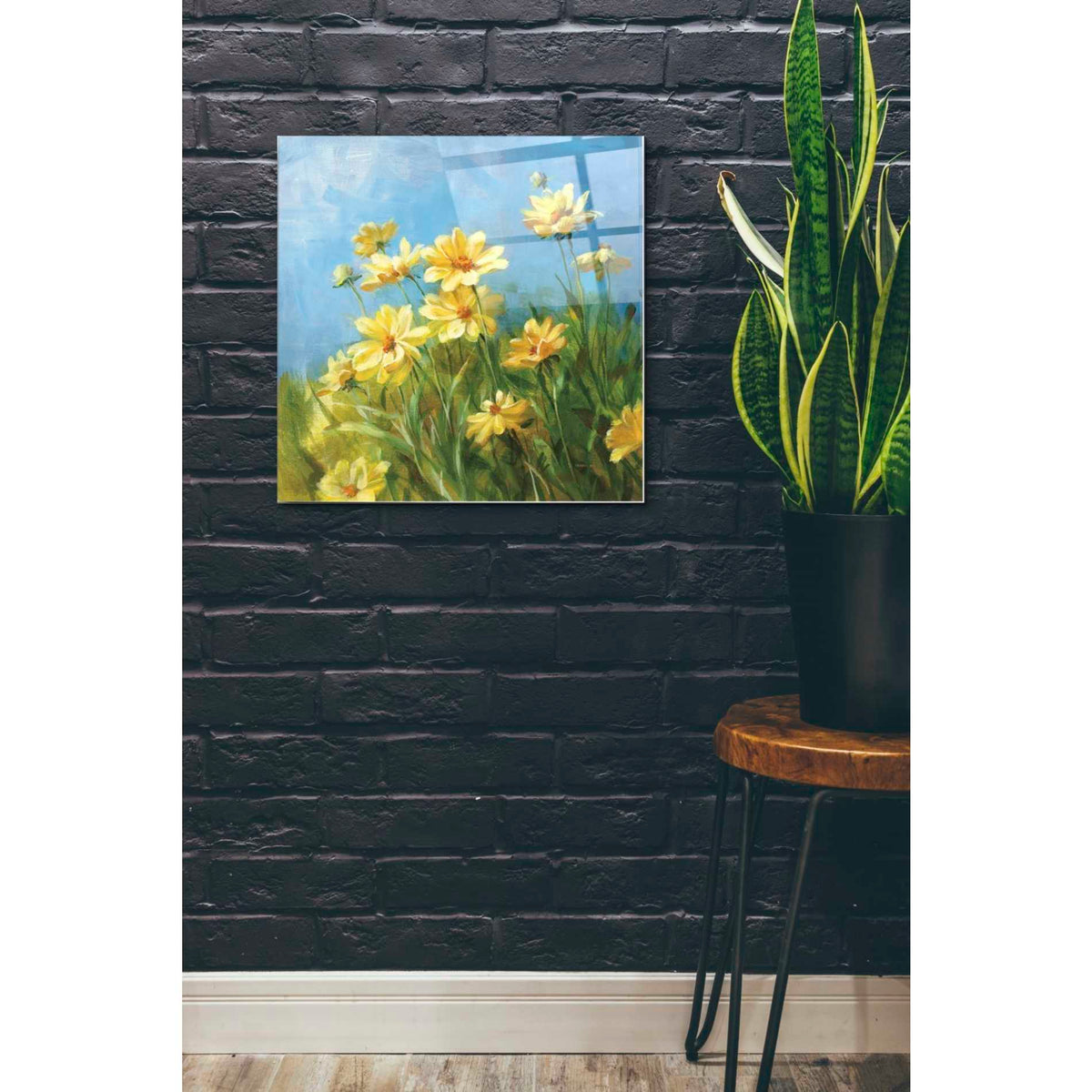 Epic Art 'Summer Field I' by Danhui Nai, Acrylic Glass Wall Art,24x24