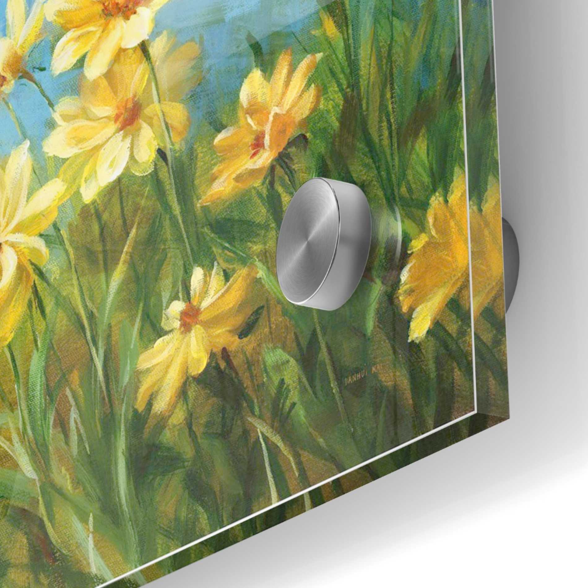 Epic Art 'Summer Field I' by Danhui Nai, Acrylic Glass Wall Art,24x24