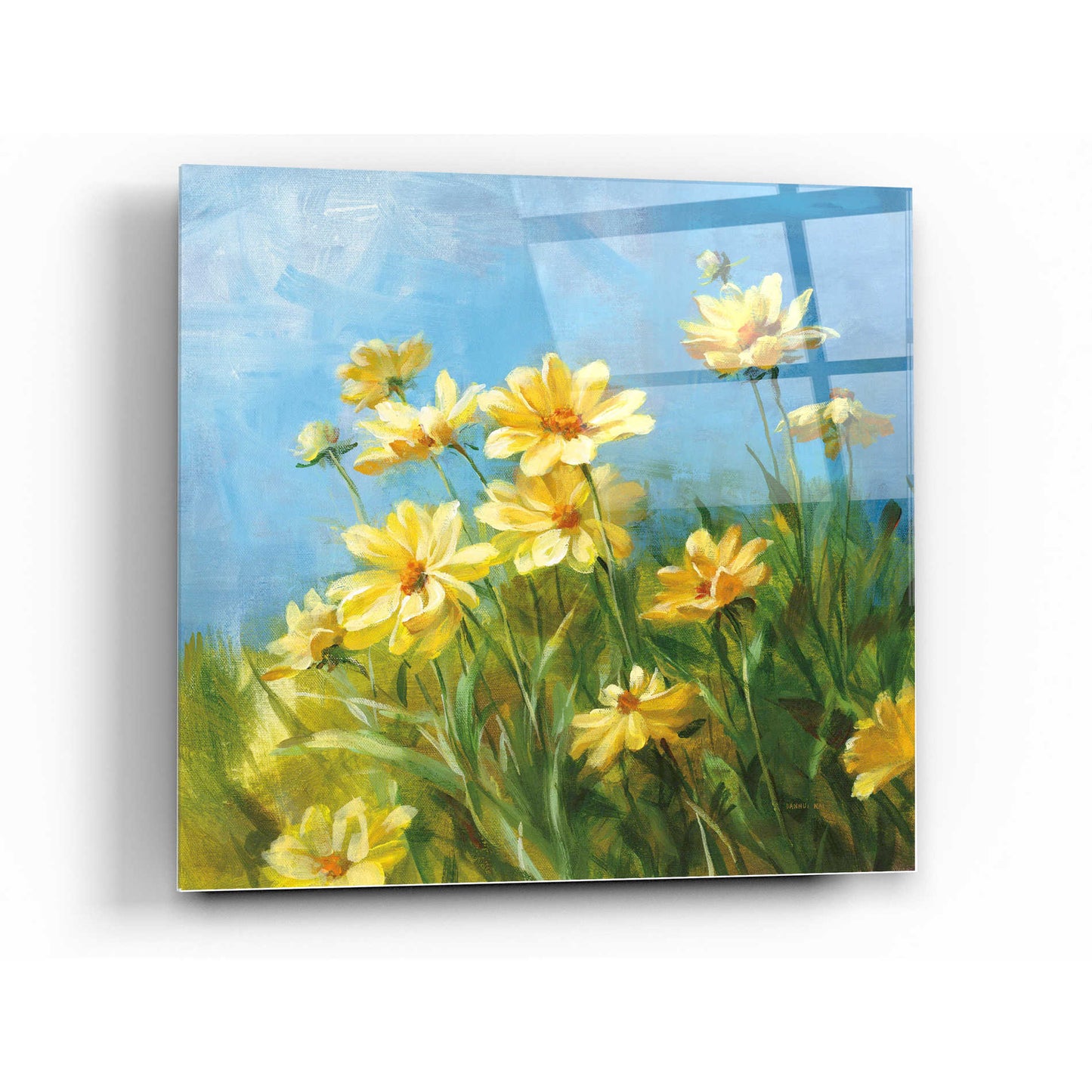 Epic Art 'Summer Field I' by Danhui Nai, Acrylic Glass Wall Art,24x24