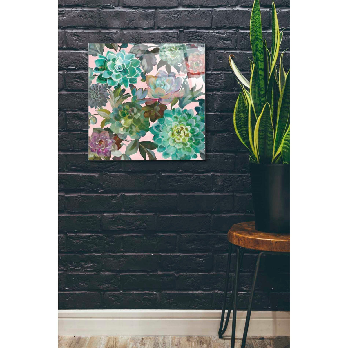 Epic Art 'Floral Succulents v2 Crop on Pink' by Danhui Nai, Acrylic Glass Wall Art,24x24