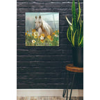 Epic Art 'Farm and Field II Crop' by Danhui Nai, Acrylic Glass Wall Art,24x24