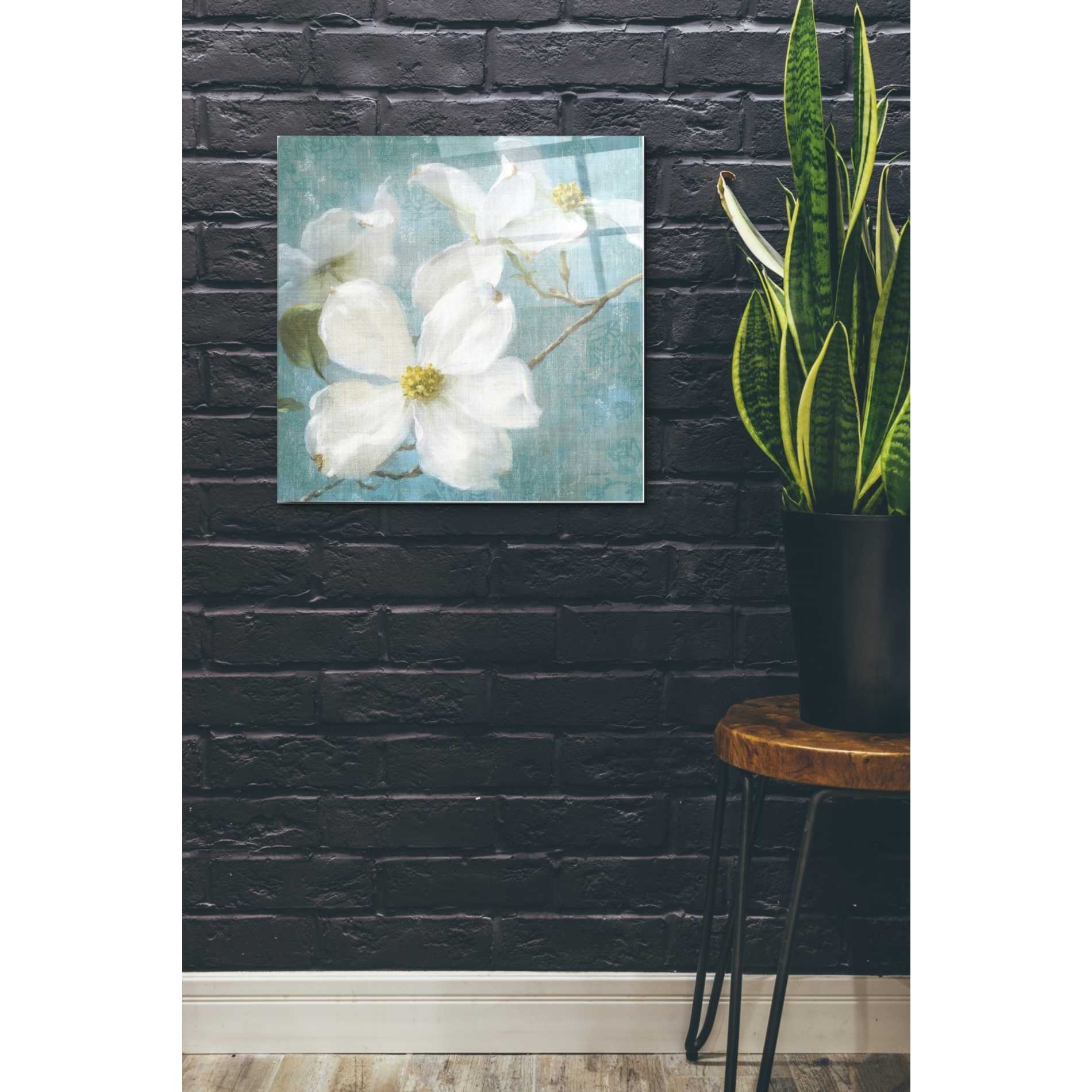 Epic Art 'Indiness Blossom Square Vintage I' by Danhui Nai, Acrylic Glass Wall Art,24x24