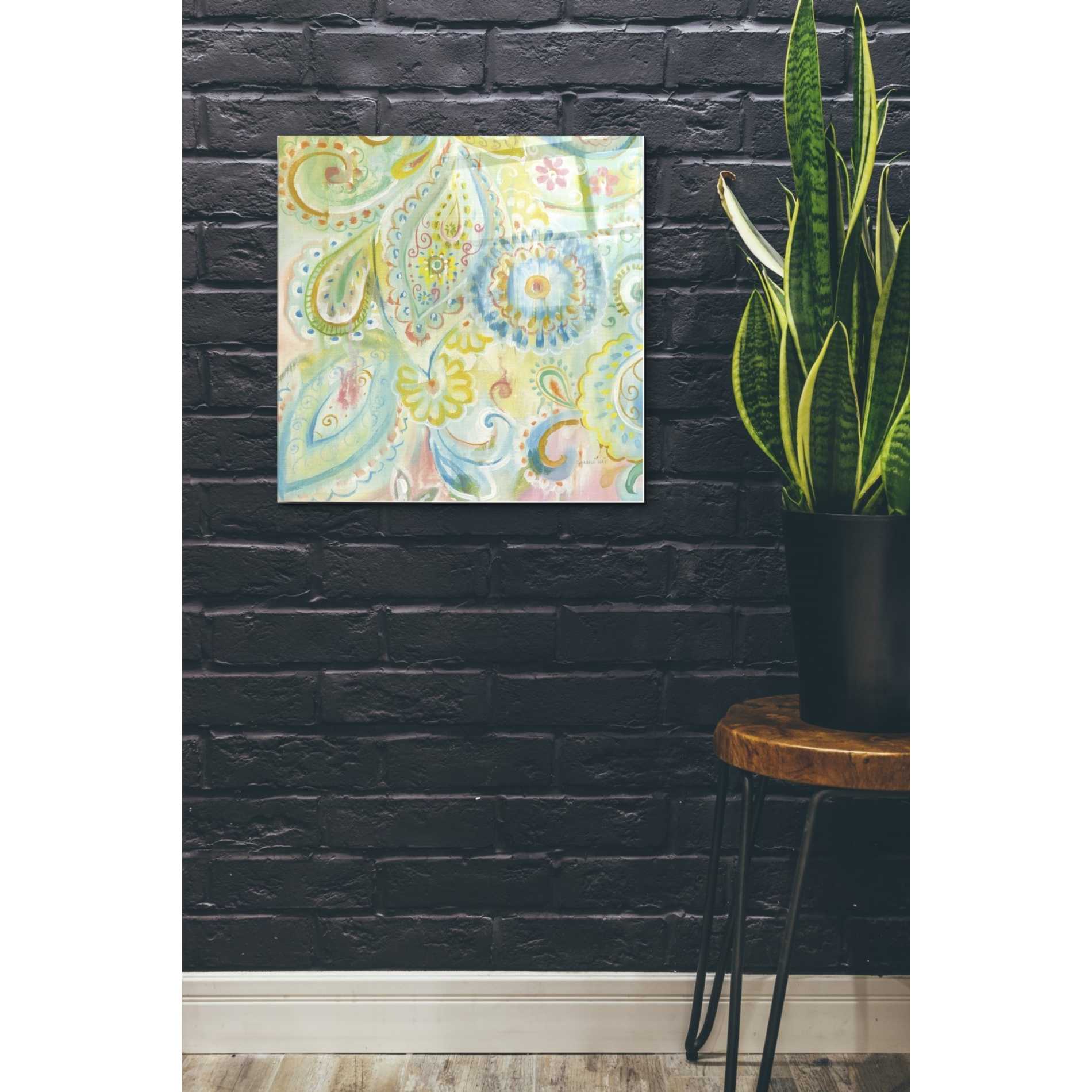 Epic Art 'Spring Dream Paisley XII' by Danhui Nai, Acrylic Glass Wall Art,24x24