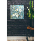 Epic Art 'Graceful Magnolia II' by Danhui Nai, Acrylic Glass Wall Art,24x24