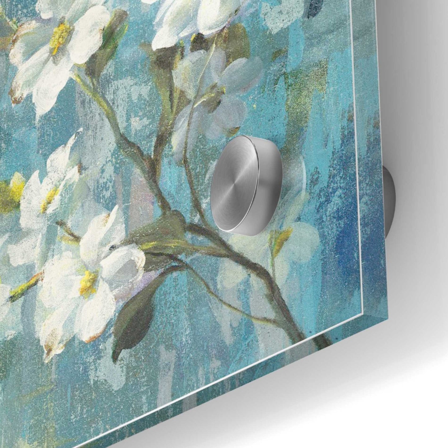 Epic Art 'Graceful Magnolia II' by Danhui Nai, Acrylic Glass Wall Art,24x24