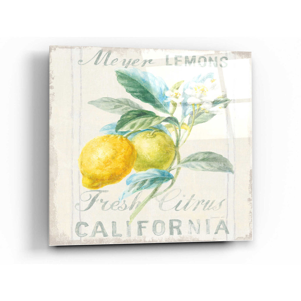 Epic Art 'Floursack Lemon II' by Danhui Nai, Acrylic Glass Wall Art,24x24