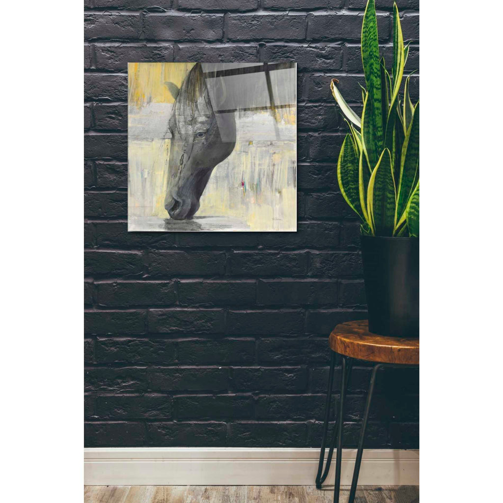 Epic Art 'Caleb' by Albena Hristova, Acrylic Glass Wall Art,24x24