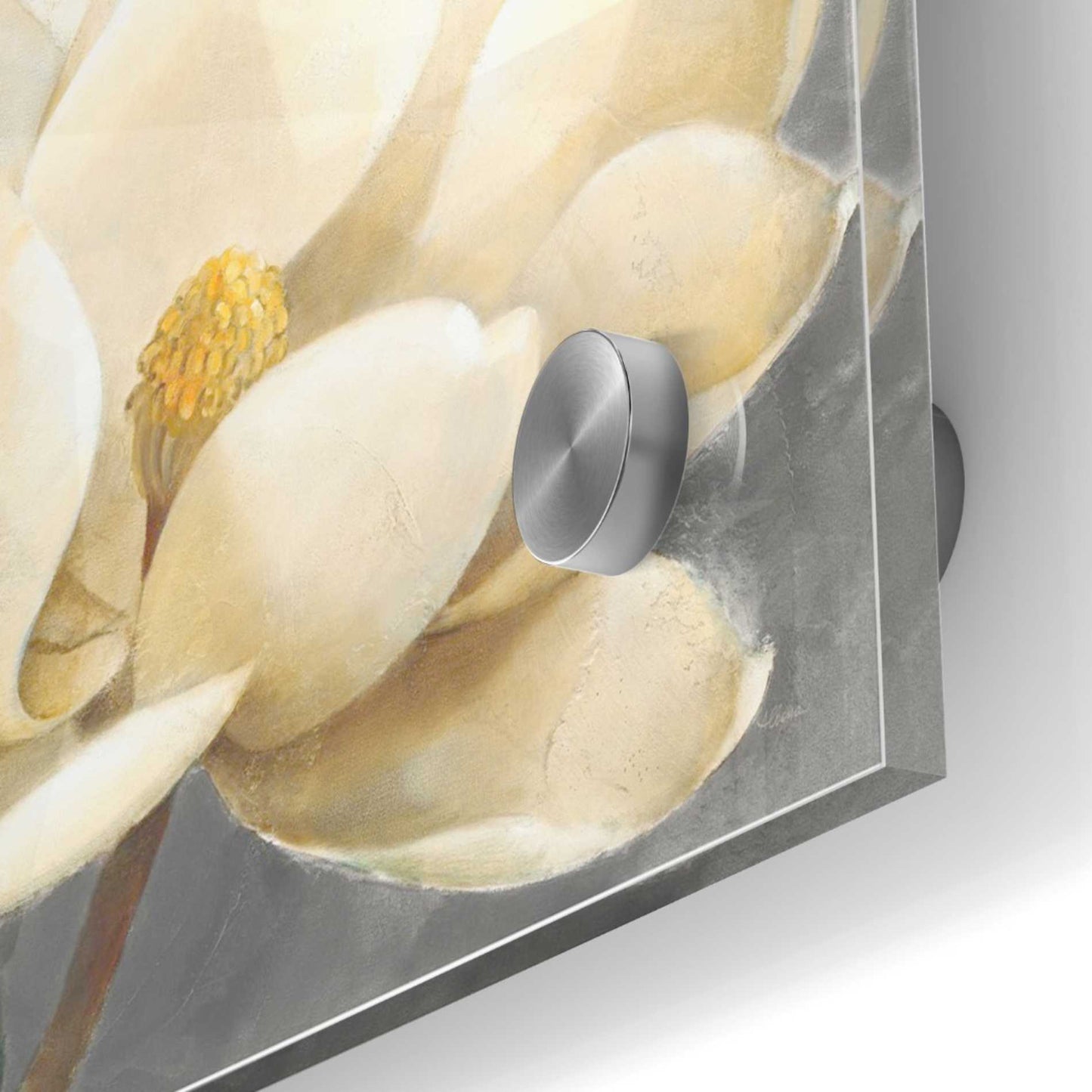 Epic Art 'Magnolia Blossom on Gray' by Albena Hristova, Acrylic Glass Wall Art,24x24